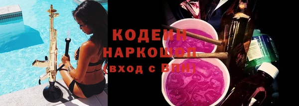 СК Бородино