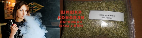СК Бородино