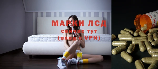 PSILOCYBIN Бугульма