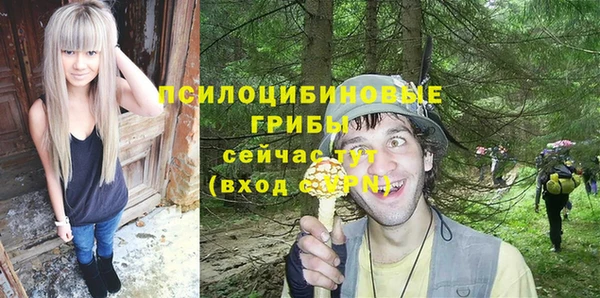 СК Бородино