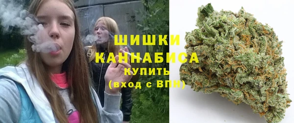 СК Бородино