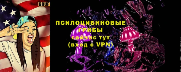 СК Бородино