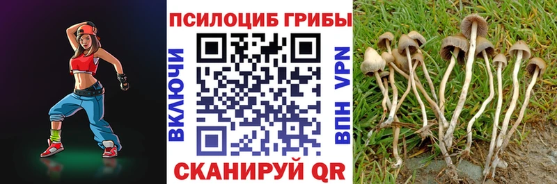 Купить закладки  Онега  Галлюциногенные грибы прущие грибы 
